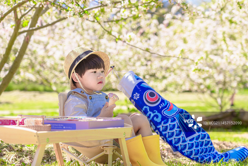 坐在樱花树旁吃冰激凌蛋筒的小男孩特写图片素材