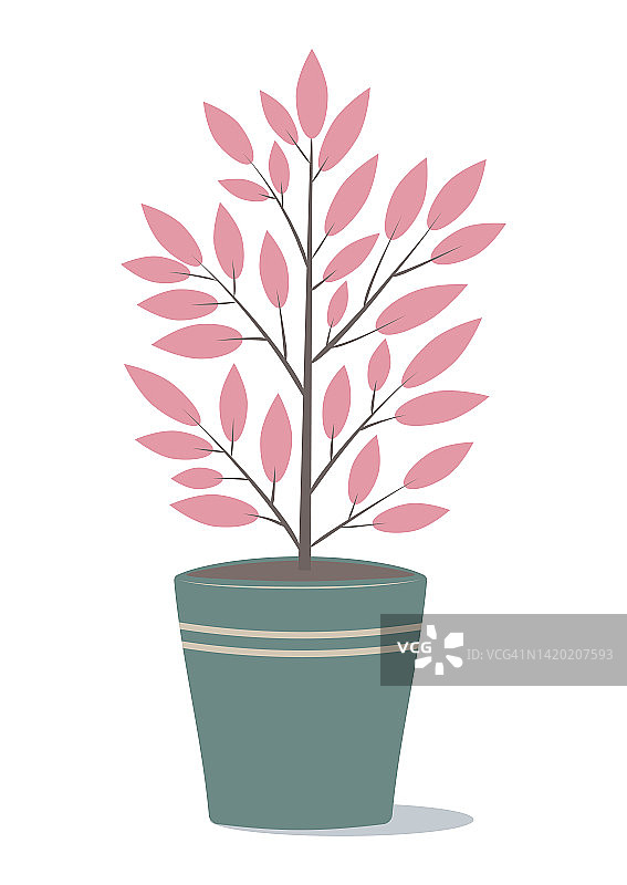 矢量圖形插圖與熱帶粉紅色植物圖片素材