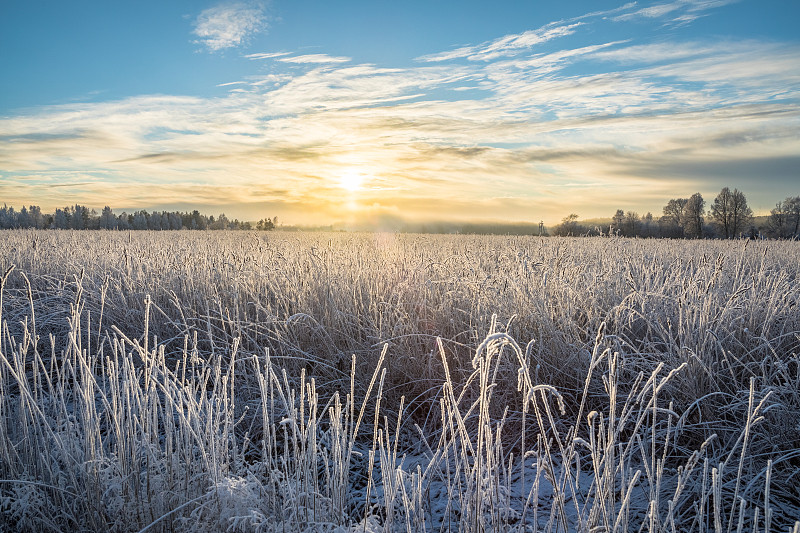 冰凍的田野上的日落。圖片素材