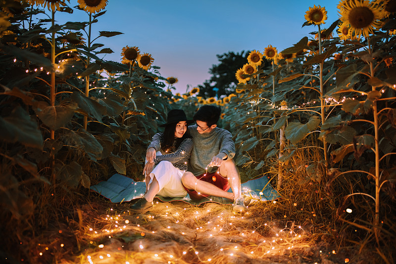 一對夫婦坐在發光的向日葵地里圖片下載