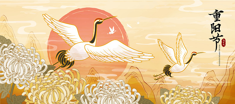 重陽節飛舞丹頂鶴與菊花橫幅圖片素材