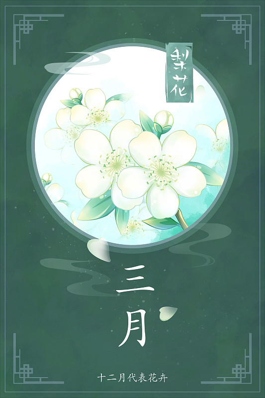 十二花神系列花卉—— 三月梨花 中國風唯美創意插畫海報圖片