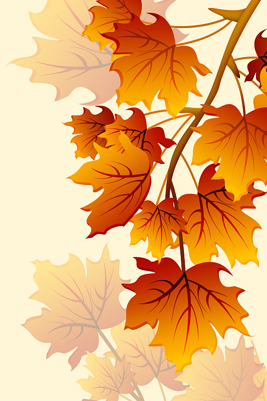 簡約風格秋季紅色楓葉圖片素材