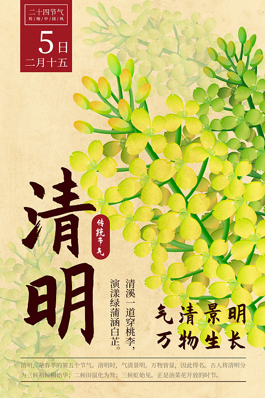 二十四節氣新中式植物海報-05清明-油菜花圖片素材