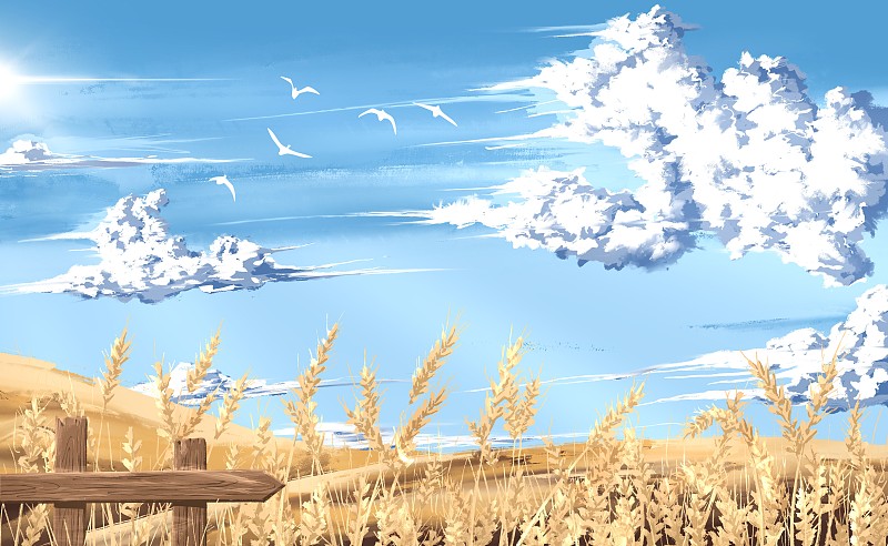 秋天田地里的成熟小麥插畫圖片