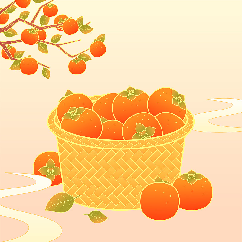 秋天霜降節氣柿子水果豐收國潮矢量插畫圖片