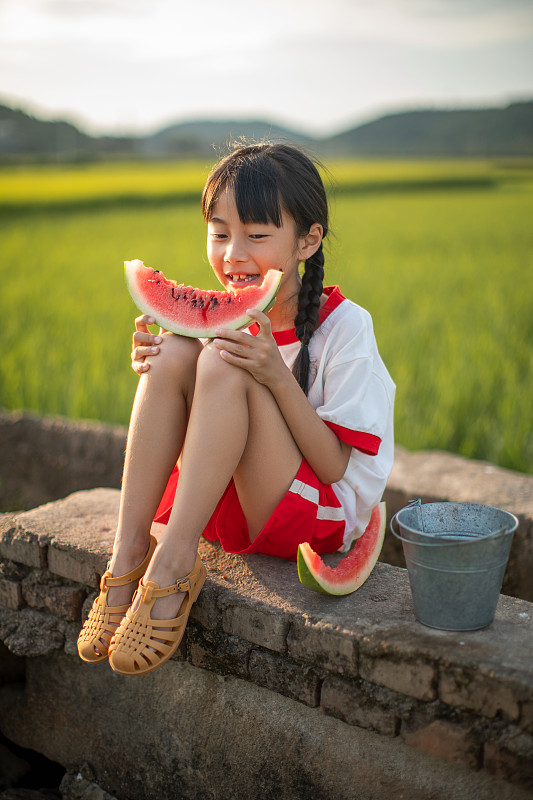 夏天的稻田里吃西瓜的小女孩图片下载