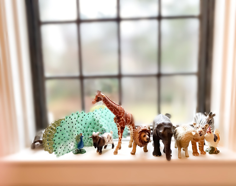 兒童臥室內窗臺上的動物雕像圖片素材