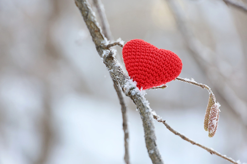 冬天的森林里，霜雪覆蓋的樹枝上，紅色編織著愛情的心圖片下載