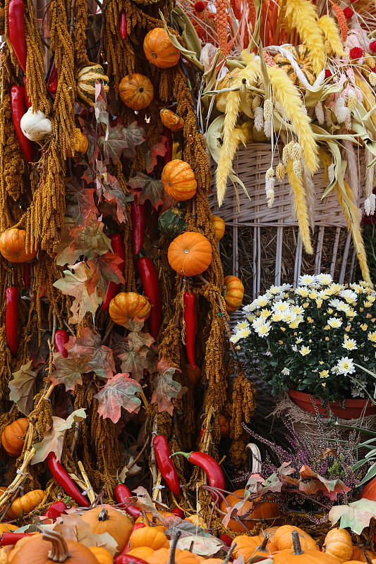 農產品市場。有機南瓜和紅辣椒配上秋葉顏色的裝飾攝影圖片
