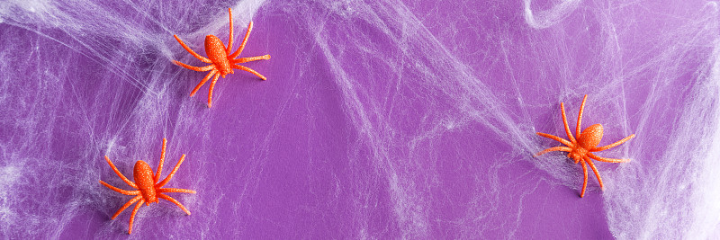 萬圣節背景由白色蜘蛛網和橙色閃閃發光的蜘蛛紫色。節日裝飾的概念?？植篮涂植赖谋尘芭c復制空間為您的設計。網絡橫幅攝影圖片