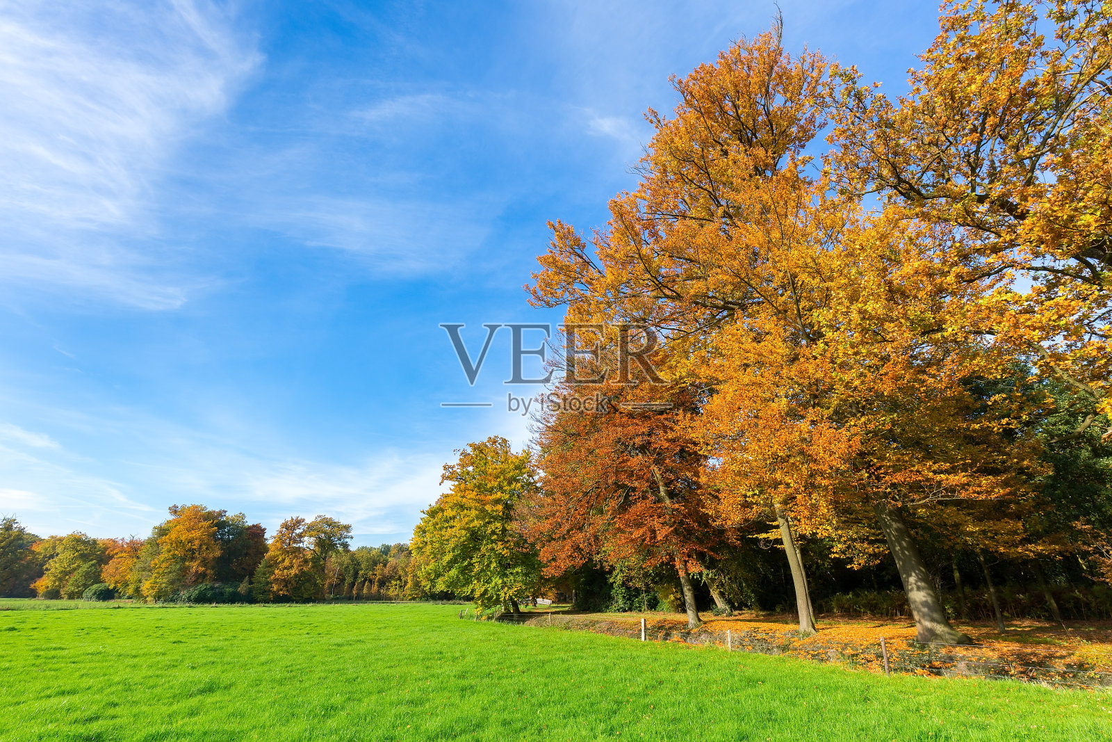 五彩缤纷的秋天景观与树木，天空和草地照片摄影图片