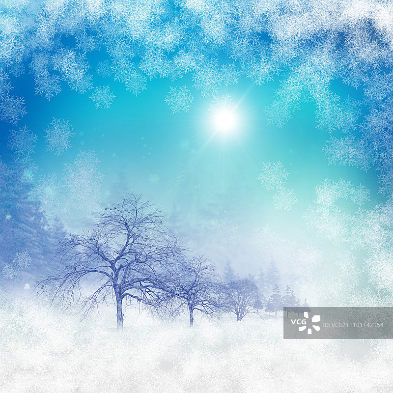 抽象的背景与蓝天和阳光。圣诞在冬天的风景。新年快乐，圣诞快乐!图片素材