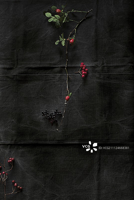 皱果，接骨木和玫瑰果在黑色背景图片素材
