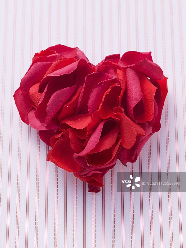 红玫瑰花瓣排列成心形图片素材