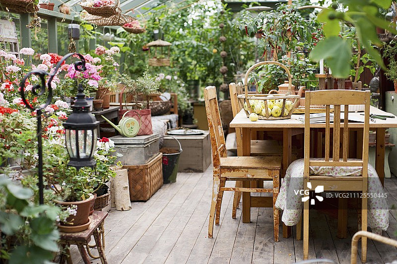 温室内的木制桌椅，地板和凳子上有许多花盆图片素材