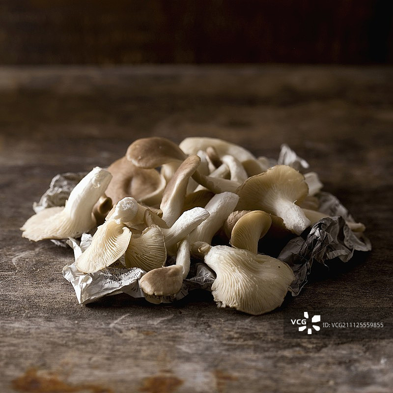 普鲁图斯蘑菇图片素材
