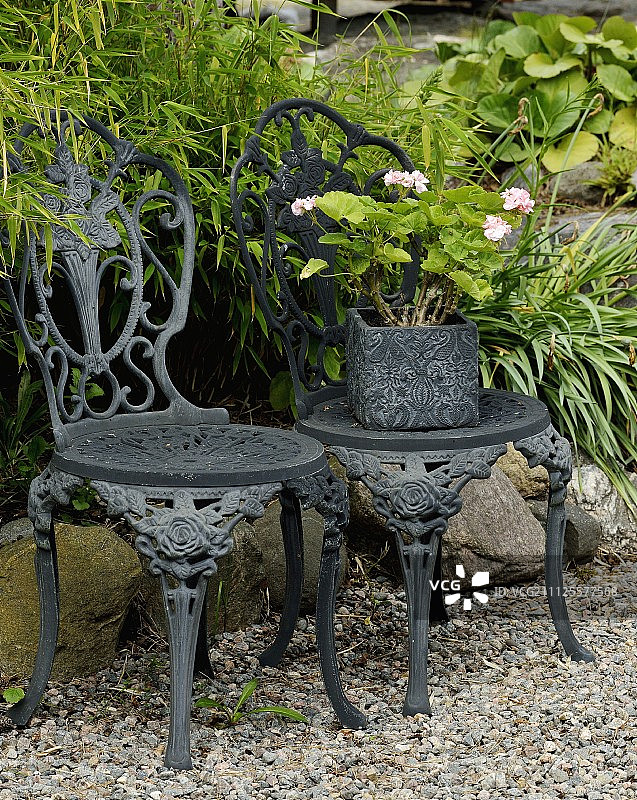 华丽的，古董，金属花园椅子和粉红色天竺葵在方形壶浮雕图案图片素材