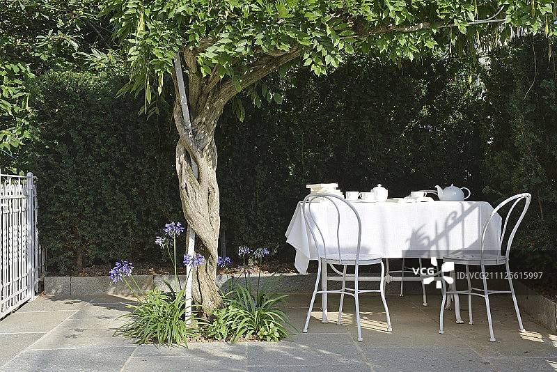 绿色树篱前的露台上放着茶具和白色桌布图片素材