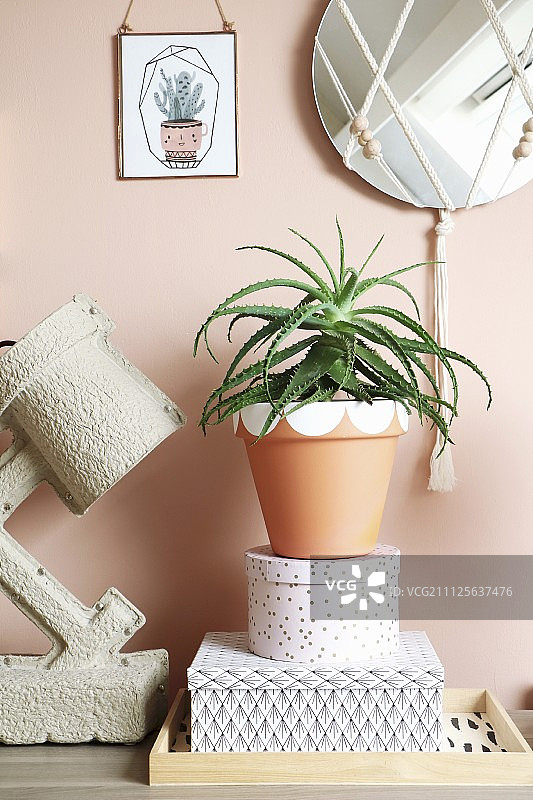 室内植物在彩绘赤陶罐上堆放在装饰盒旁的台灯图片素材