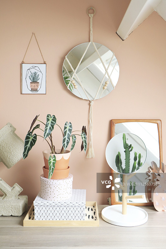 镜子装饰用macramé和木珠杏墙以上室内植物图片素材