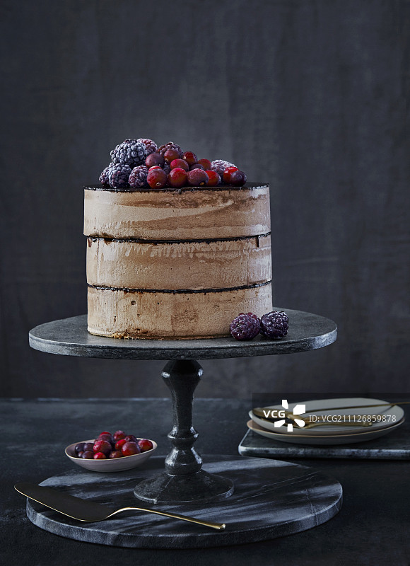 巧克力蛋糕配巧克力奶油，冰冻的黑莓和蔓越莓图片素材