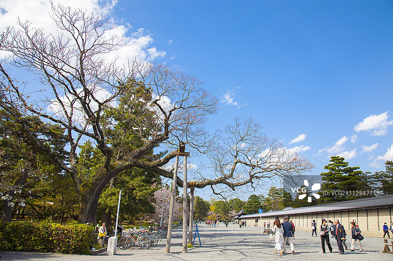 树,道路,日式建筑图片素材