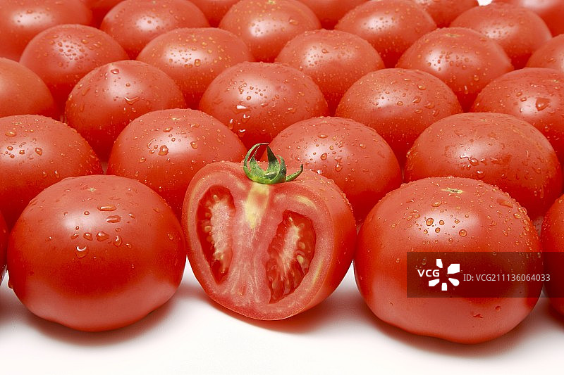 番茄图片素材