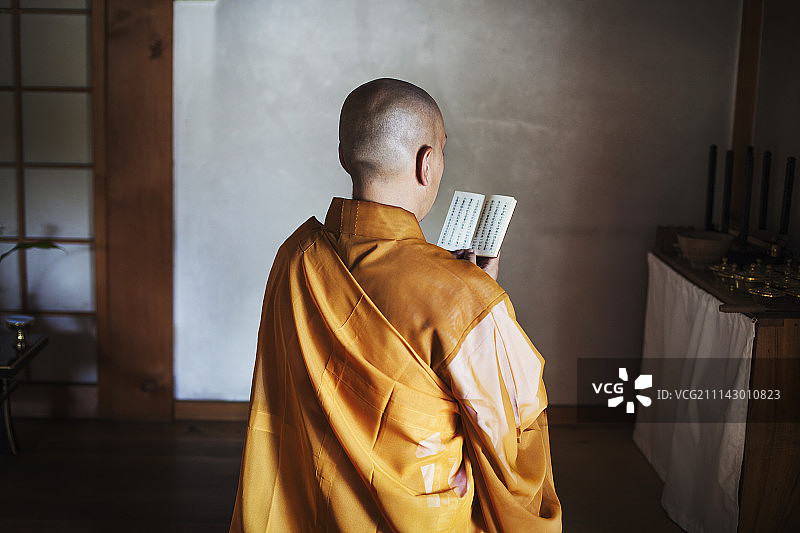 后视图佛教和尚光头穿着金袍坐在室内的寺庙，拿着祈祷文。图片素材