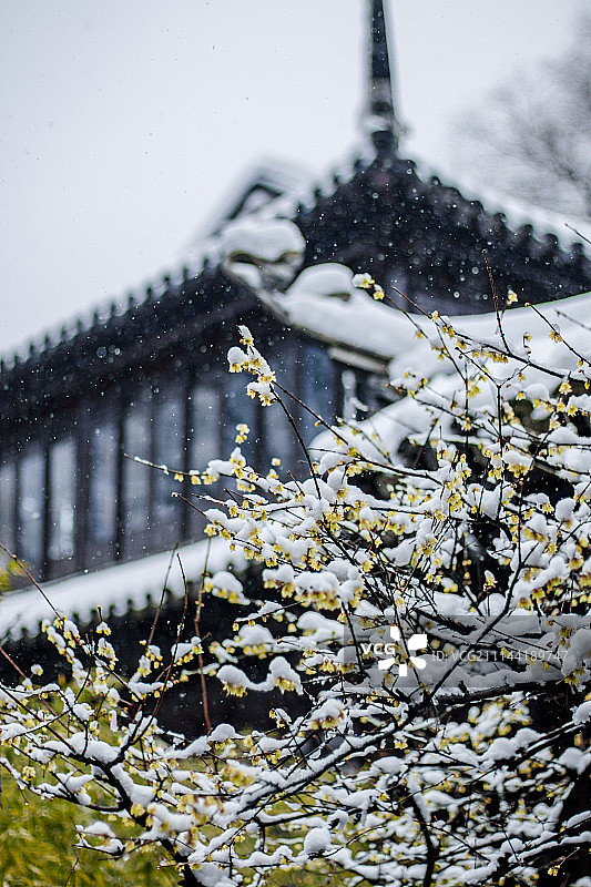 苏州雪景图片素材