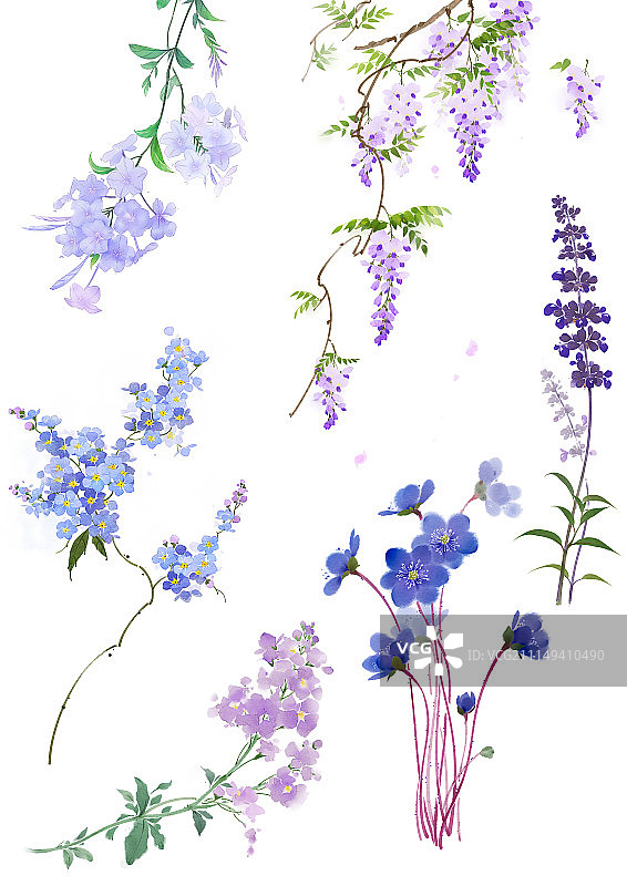 蓝紫色系花卉图片素材