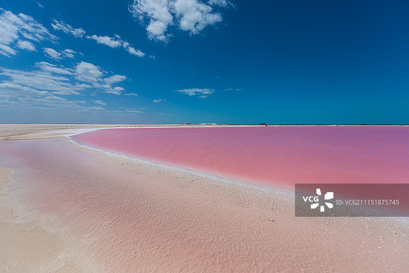 粉红色的湖图片素材