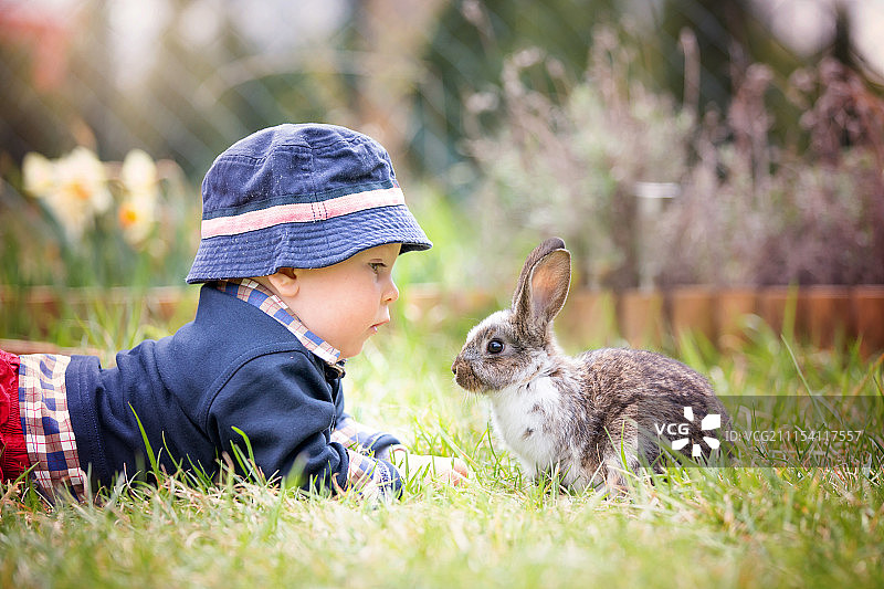 可爱的蹒跚学步的男孩在花园里，孩子和小兔子玩耍图片素材