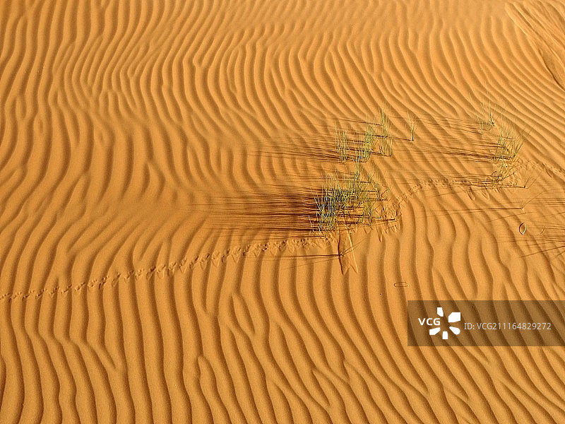 沙漠的画图片素材