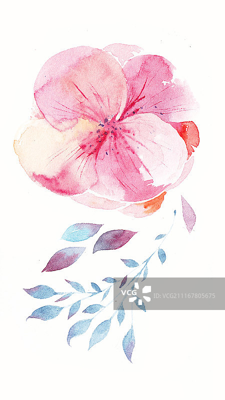 手绘水彩花朵植物插画素材图片素材