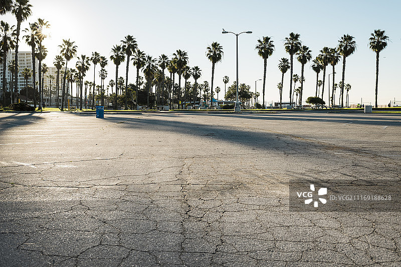 在棕榈树和海滩前有一个沥青停车场图片素材