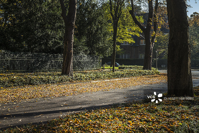 秋日里的一条民居近郊路图片素材