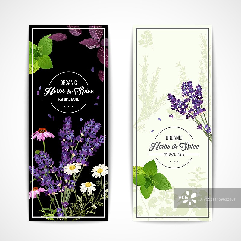草本横幅与野花和香料。卡片与有机香草和盛开的鲜花和香料在黑白背景矢量插图图片素材