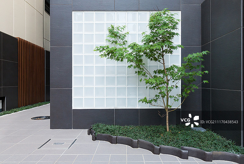 东京市区民宿住宅庭院图片素材