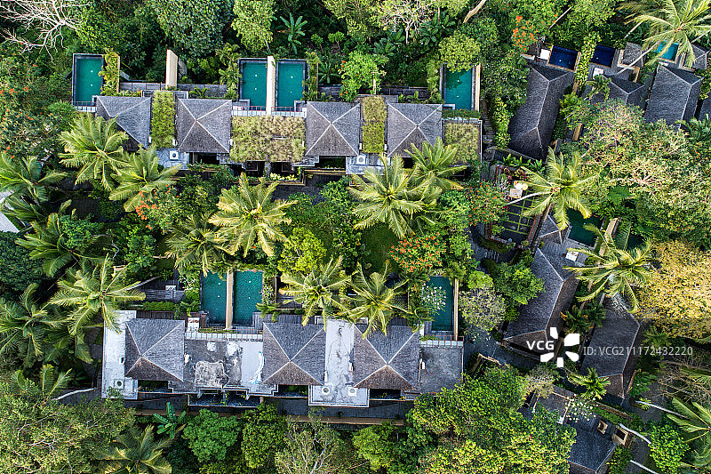 巴厘岛 乌布 热带丛林里的酒店别墅图片素材