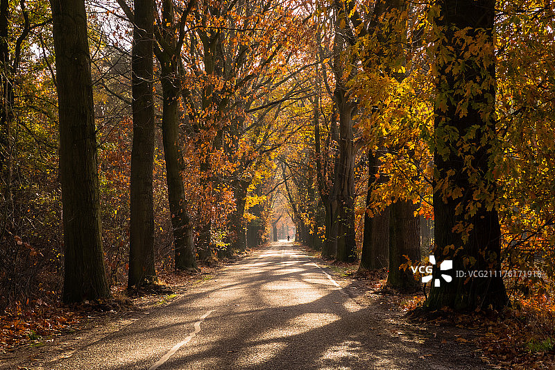 秋天，旧跑道，新卑尔根图片素材