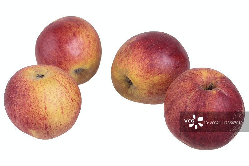 苹果品种多海默斯特里夫林图片素材