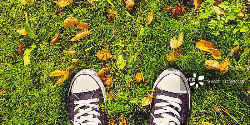 运动鞋和草地上的树叶图片素材