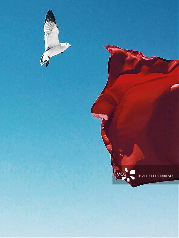 风中的红色旗帜与飞翔的鸟图片素材