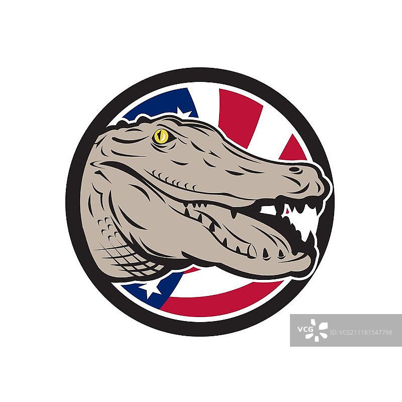 图标复古风格的美洲鳄，鳄鱼科短吻鳄与美国的美国星条旗或星条旗内的圆圈。美洲鳄美国国旗图标图片素材