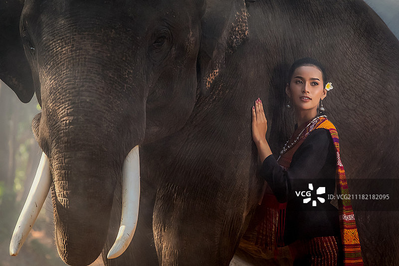 年轻女子与大象图片素材