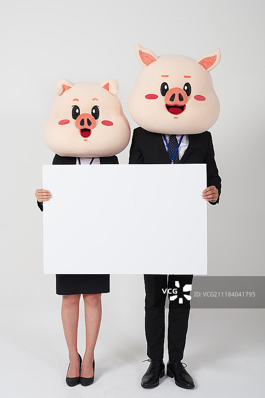 猪头举着白色空白横幅的商人和女商人摄影图片素材