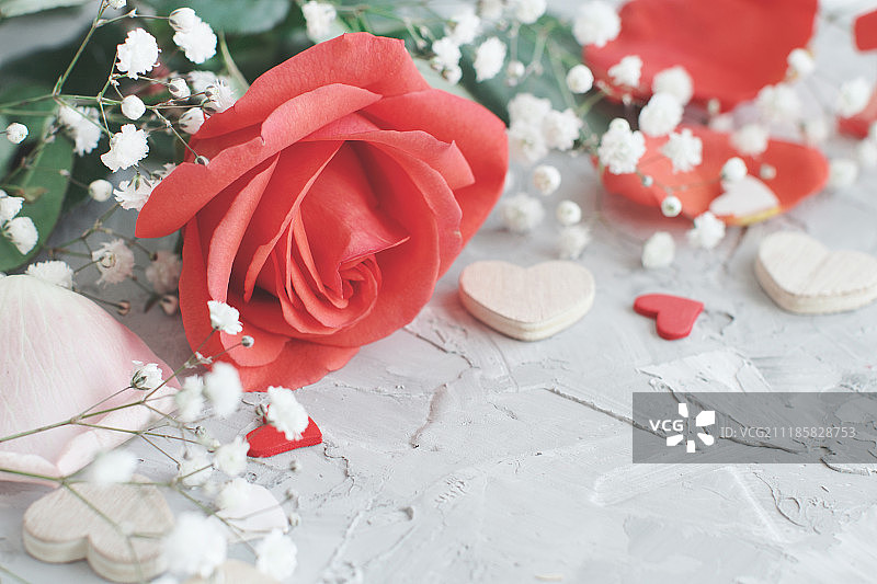 红玫瑰花，花瓣和心图片素材