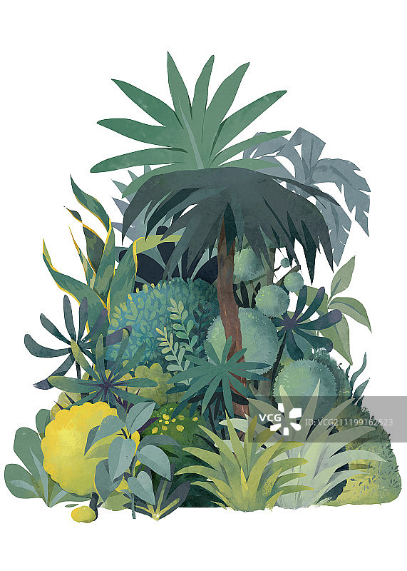 扁平风插画热带植物图片素材