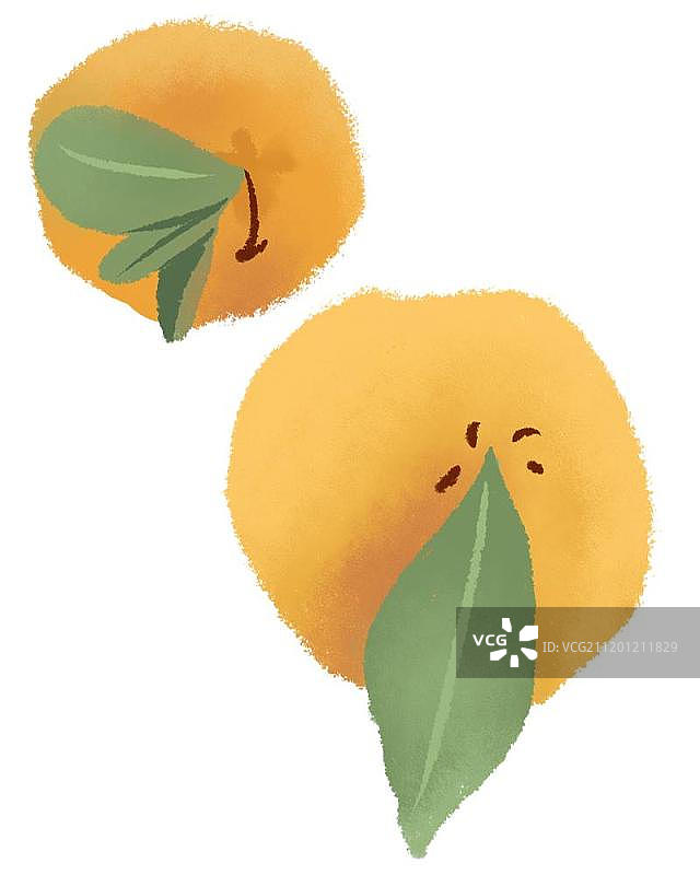刚摘出来的带有叶子的小橘子图片素材